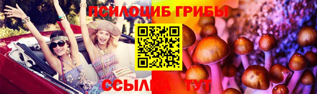 Псилоцибиновые грибы Psilocybine cubensis Урус-Мартан